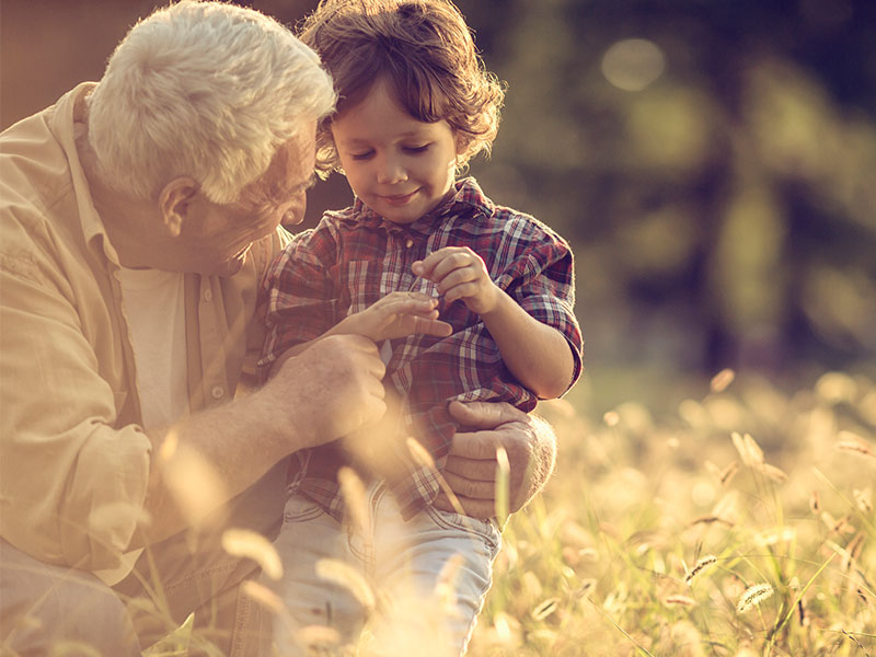 The Missing Supplement for the Aging Demographic